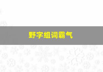 野字组词霸气