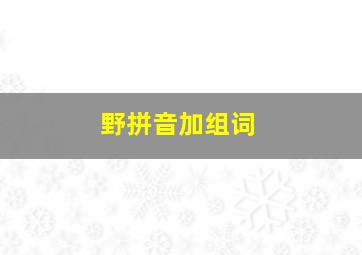 野拼音加组词