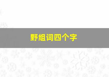 野组词四个字