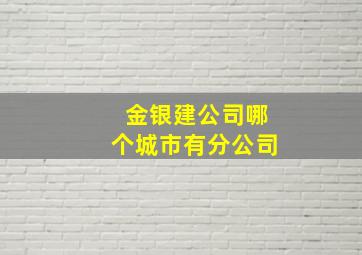 金银建公司哪个城市有分公司