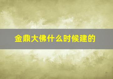 金鼎大佛什么时候建的