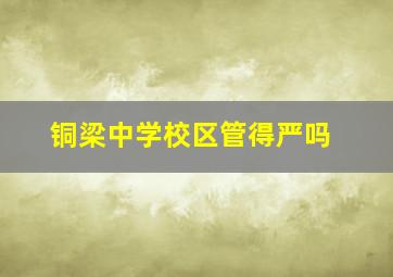 铜梁中学校区管得严吗