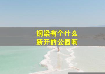 铜梁有个什么新开的公园啊