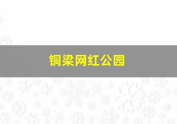 铜梁网红公园