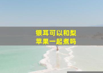 银耳可以和梨苹果一起煮吗