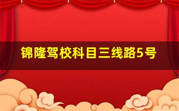 锦隆驾校科目三线路5号