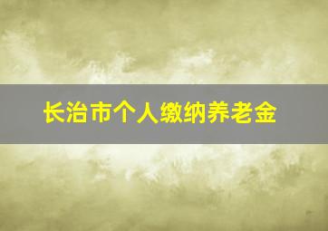 长治市个人缴纳养老金