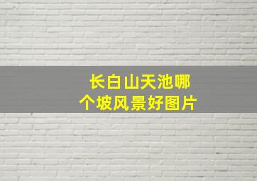 长白山天池哪个坡风景好图片