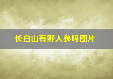 长白山有野人参吗图片