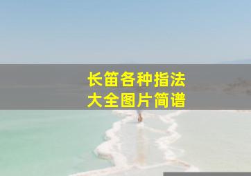 长笛各种指法大全图片简谱