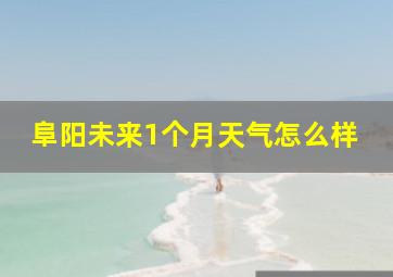 阜阳未来1个月天气怎么样