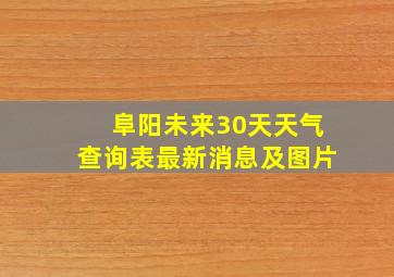 阜阳未来30天天气查询表最新消息及图片