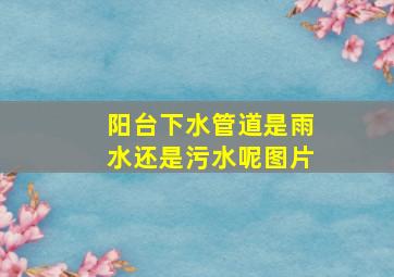 阳台下水管道是雨水还是污水呢图片