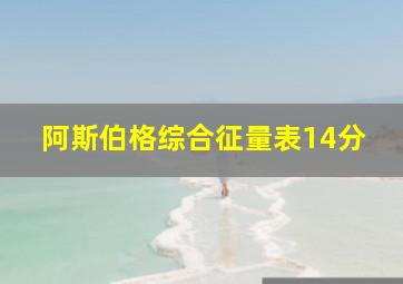 阿斯伯格综合征量表14分