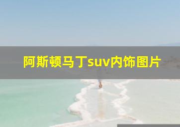 阿斯顿马丁suv内饰图片