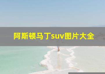 阿斯顿马丁suv图片大全