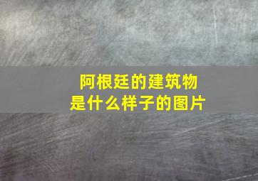 阿根廷的建筑物是什么样子的图片