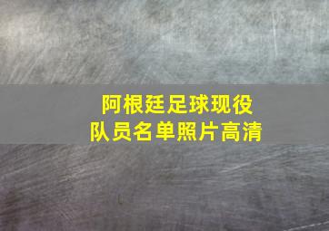 阿根廷足球现役队员名单照片高清