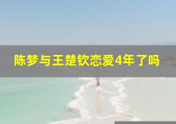 陈梦与王楚钦恋爱4年了吗