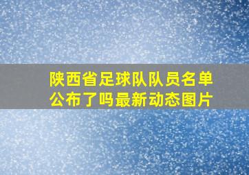 陕西省足球队队员名单公布了吗最新动态图片