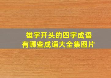 雄字开头的四字成语有哪些成语大全集图片