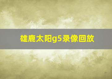 雄鹿太阳g5录像回放