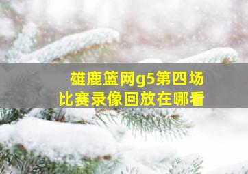 雄鹿篮网g5第四场比赛录像回放在哪看