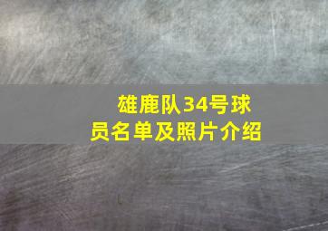 雄鹿队34号球员名单及照片介绍