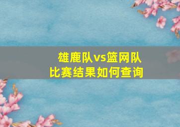 雄鹿队vs篮网队比赛结果如何查询