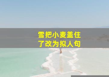 雪把小麦盖住了改为拟人句