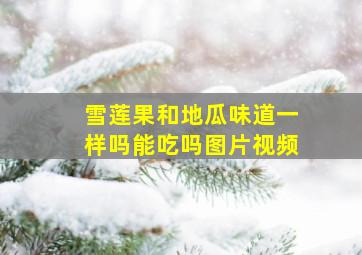 雪莲果和地瓜味道一样吗能吃吗图片视频