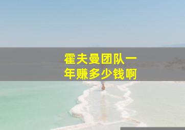 霍夫曼团队一年赚多少钱啊