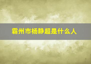 霸州市杨静超是什么人