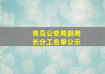 青岛公安局副局长分工名单公示