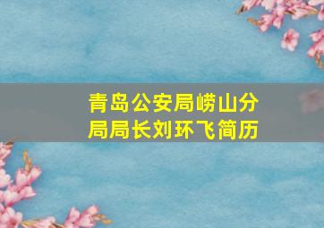 青岛公安局崂山分局局长刘环飞简历