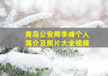 青岛公安局李峰个人简介及照片大全视频