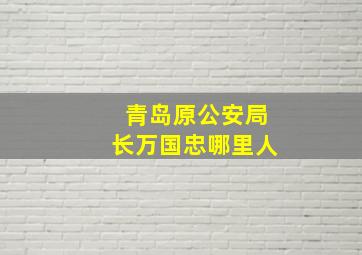 青岛原公安局长万国忠哪里人