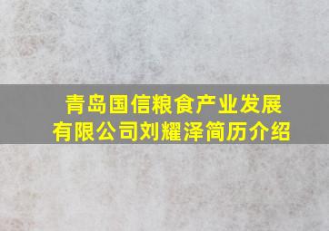 青岛国信粮食产业发展有限公司刘耀泽简历介绍