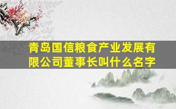 青岛国信粮食产业发展有限公司董事长叫什么名字