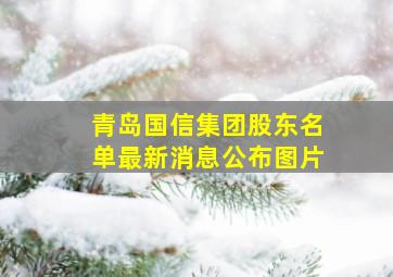 青岛国信集团股东名单最新消息公布图片