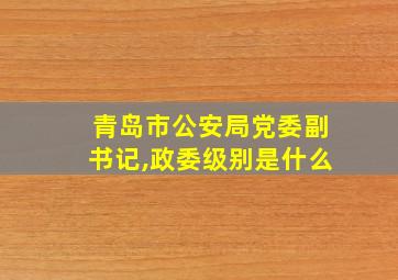 青岛市公安局党委副书记,政委级别是什么