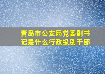 青岛市公安局党委副书记是什么行政级别干部