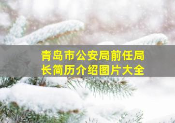 青岛市公安局前任局长简历介绍图片大全