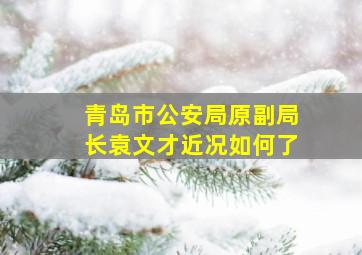 青岛市公安局原副局长袁文才近况如何了