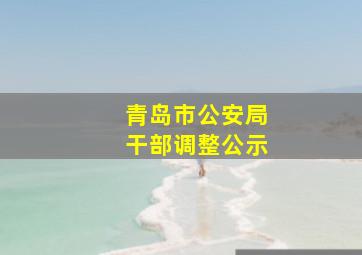 青岛市公安局干部调整公示