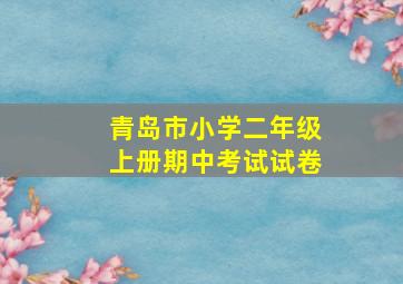 青岛市小学二年级上册期中考试试卷