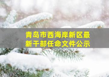 青岛市西海岸新区最新干部任命文件公示