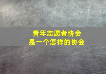 青年志愿者协会是一个怎样的协会