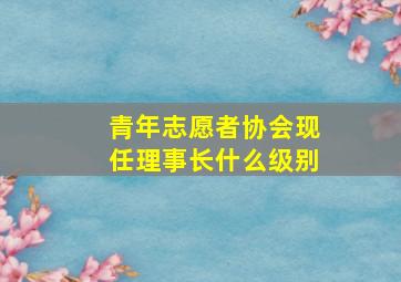 青年志愿者协会现任理事长什么级别