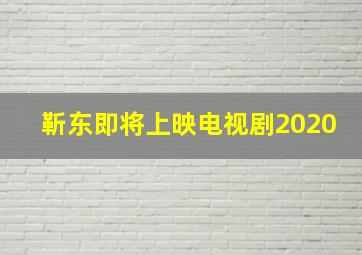 靳东即将上映电视剧2020